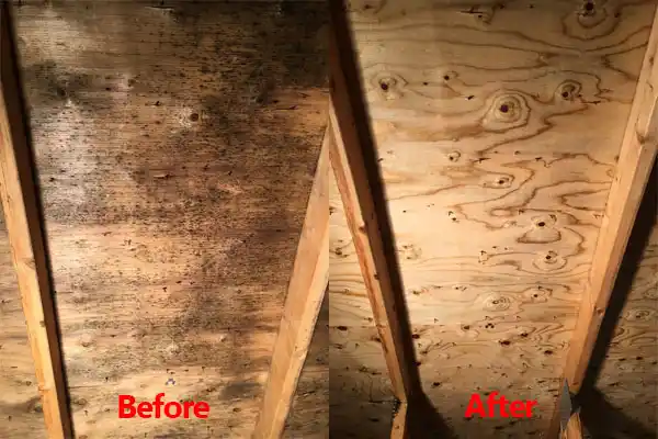 water damage restoration service Lydia